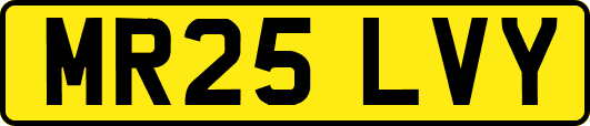 MR25LVY