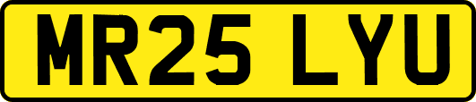MR25LYU