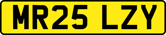 MR25LZY