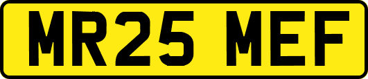 MR25MEF