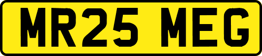 MR25MEG