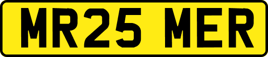 MR25MER