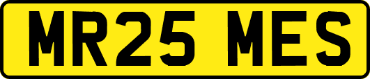 MR25MES