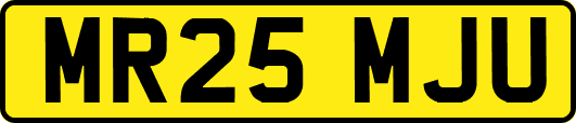 MR25MJU
