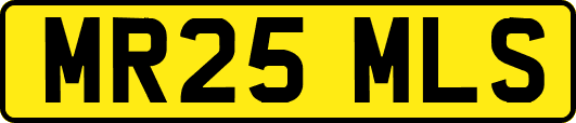 MR25MLS