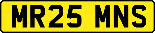 MR25MNS