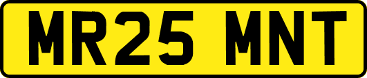 MR25MNT