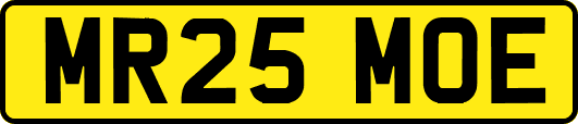 MR25MOE