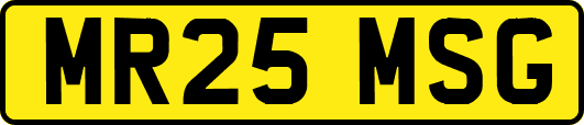 MR25MSG