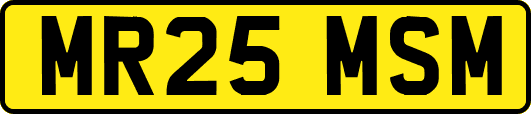 MR25MSM