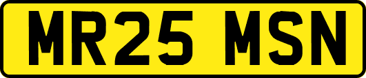 MR25MSN