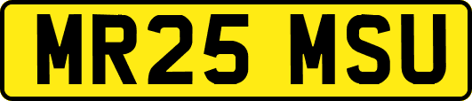 MR25MSU