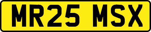 MR25MSX