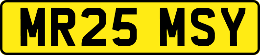 MR25MSY