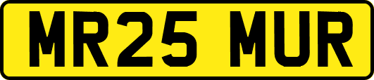 MR25MUR