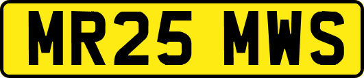 MR25MWS