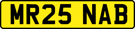MR25NAB