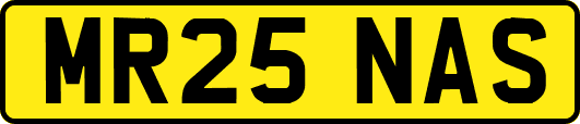 MR25NAS