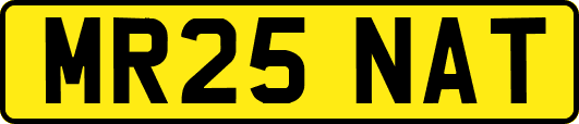 MR25NAT