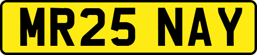 MR25NAY