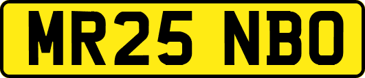 MR25NBO