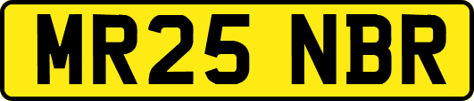 MR25NBR