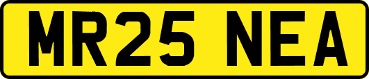 MR25NEA