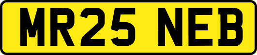 MR25NEB