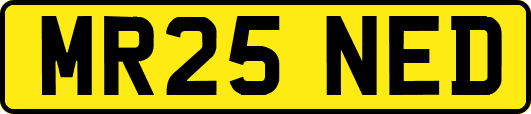 MR25NED
