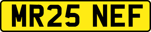 MR25NEF