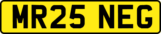 MR25NEG