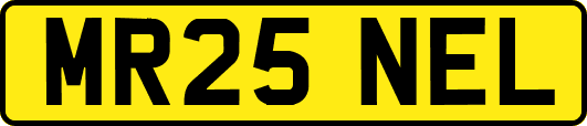 MR25NEL