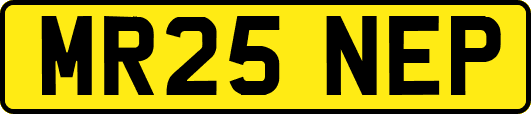 MR25NEP