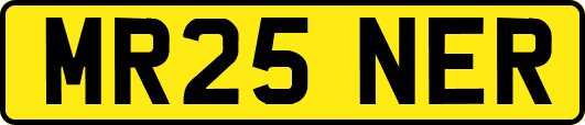 MR25NER