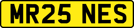 MR25NES