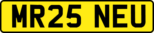 MR25NEU