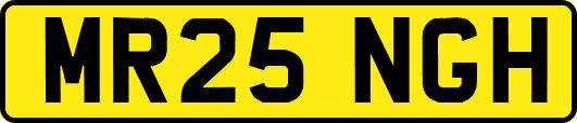 MR25NGH