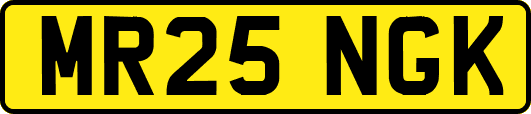 MR25NGK