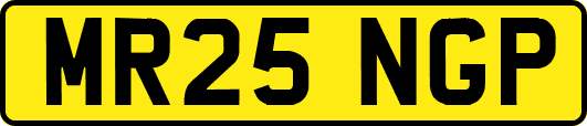 MR25NGP