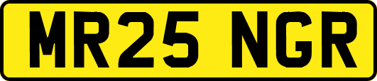 MR25NGR