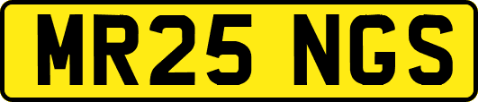 MR25NGS