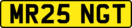 MR25NGT