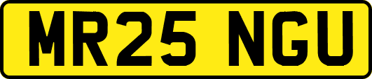 MR25NGU