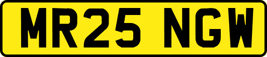 MR25NGW