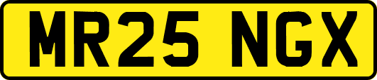 MR25NGX