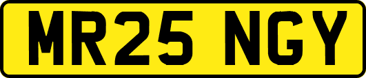 MR25NGY