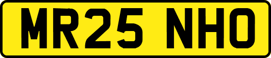 MR25NHO