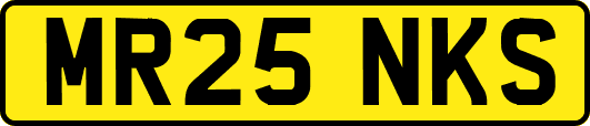MR25NKS