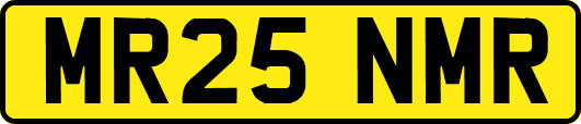 MR25NMR