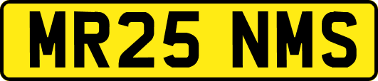 MR25NMS